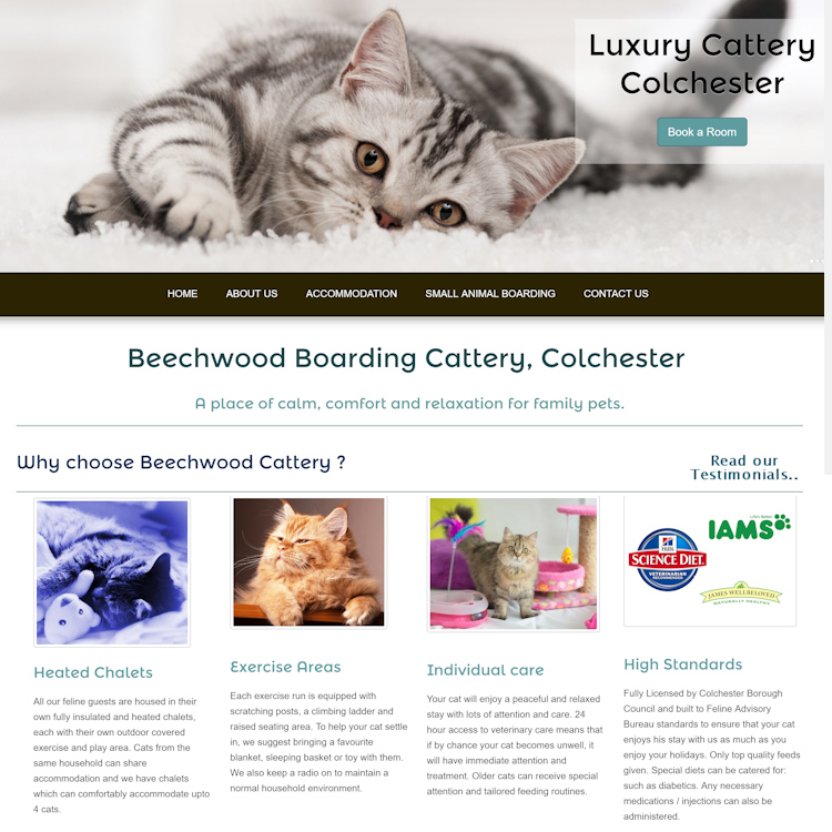 Bespoke, intuitive website design, content writing, logo design, website gallery image 5